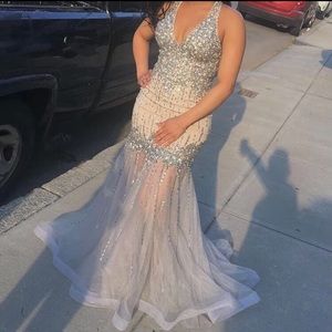 Silver beige gown